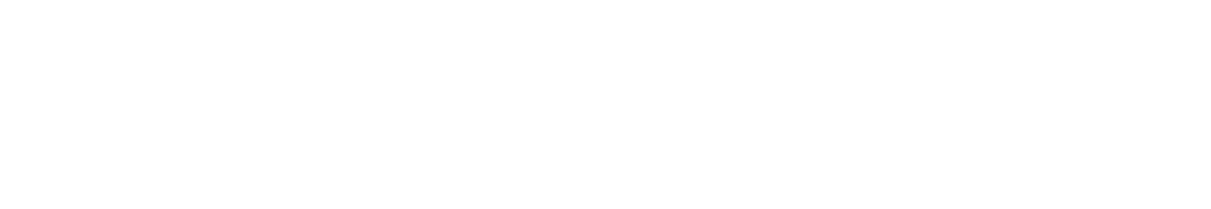 Logo bagamatipress
